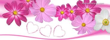 Flower facebook cover photo sources: Free Facebook Covers Flowers