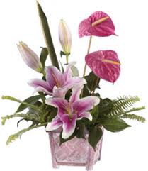 On the street of north 2nd street and street number is 10. Holliday Flowers Of Bartlett Stage Rd Bartlett Tn 38133
