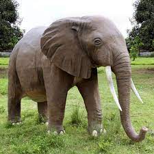 Maybe you would like to learn more about one of these? Massive Backyard Elephant Statue