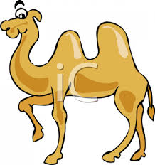 Chances are you've seen the insurance commercial starring a camel. Clipart Of A Brown Camel Animalclipart Net