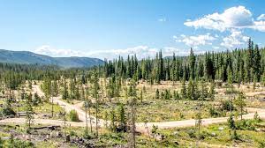 Maybe you would like to learn more about one of these? North Fork Campground Travel Wyoming