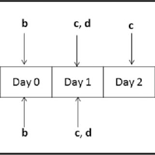With a slim design adaptable to tight spaces pest control experts using the termidor hp can clear up most termite infestations in less than three months, much faster than those who do not use. Pdf Effectiveness Of Fipronil As A Systemic Control Agent Against Xenopsylla Cheopis Siphonaptera Pulicidae In Madagascar