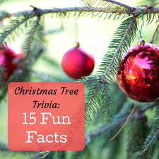 While the beloved game's origins can be traced back to england centuries past, baseball has been the national sport. 15 Trivia Facts About Christmas Trees Holidappy