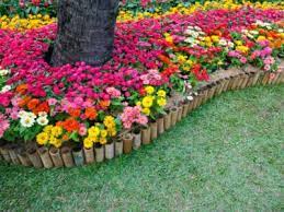 Check spelling or type a new query. Tips Information About General Flower Garden Care Gardening Know How