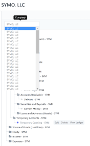 chart of accounts missing for multi company in v11 bug