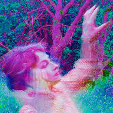 We accept and appreciate gifts of any size. The Colorful Worlds Of Pipilotti Rist The New Yorker