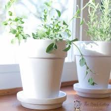 Maybe you would like to learn more about one of these? How To Paint Terra Cotta Pots With Spray Paint