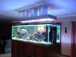 Solatube International Inc Celebrates 20th Anniversary And Unique Installations At Lightfair Aquarium Solar Tubes Amazing Aquariums