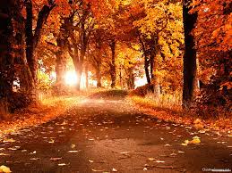 26,000+ vectors, stock photos & psd files. Free Download Fall Season Powerpoint Background Christian Images 1600x1200 For Your Desktop Mobile Tablet Explore 68 Autumn Background Pictures Autumn Wallpaper Pictures Autumn Pictures Wallpaper Autumn Background Pictures