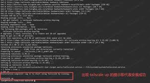 Tailscale 异地组网- PiKVM