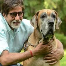 Bollywood Stars And Their Pets Marshalls Pet Zone Click on the name of the breed for a complete description of the breed. bollywood stars and their pets