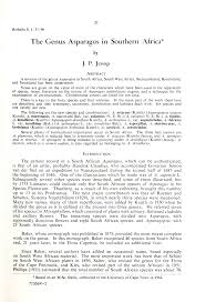 Image result for Asparagus krebsianus