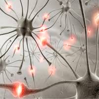 Hab das gefühl, heut kann man sihc das anschauen. Nerven Was Ist Das Genau Und Was Hilft Gegen Leiden Im Nervensystem