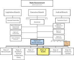 Local Government Organizational Chart 2017