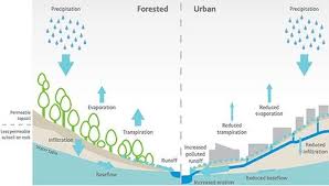 Forested Vs Urban Catchments Development Increases Polluted Runoff And Erosion And Lowers The Water T Urban Landscape Design Urban Design Diagram Stormwater