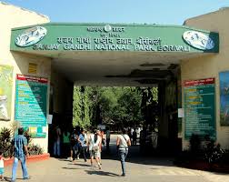 Sanjay Gandhi National Park Mumbai