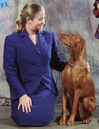 Contact us today and start an exciting journey. Vizsla Breeder Registry Vizsla Breeders Texas Usa Vizslas Vizsla Puppies Vizsla Breeder Registry Jayney S Creative Works Jcw