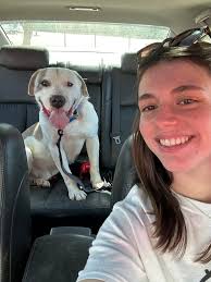 Dog mom or dad shirt with 8 paws design