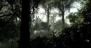 ✓ free for commercial use ✓ high quality images. Dark Rainy Forest Wallpapers Top Free Dark Rainy Forest Backgrounds Wallpaperaccess