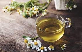 Chamomile Tea Benefits For Older Adults Lifetime Daily