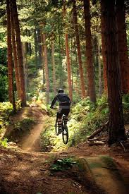 Mountain Biking Cyclingbikebicycles Mtb Trails Bike Trails Mountain Bike Trails