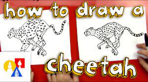 If you draw lines on the sides of the nasal bridge, you'll go right to the eyebrows. How To Draw A Cheetah Youtube
