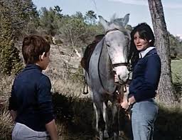 Accompagné de son magnifique chien de montagne, mehdi devient un. Belle Et Sebastien 1965