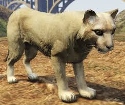 I know you unlock the animals by eating the peyote but how do you unlock the special characters? Cougars Gta Wiki Fandom