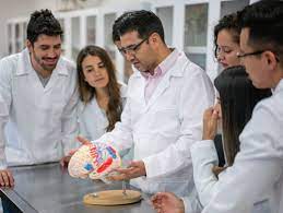 How To Become A Neuroscientist | Gcu Blog
