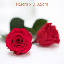 Dhgate.com is your new choicest seller of the outstanding quality of preserved flowers at wholesale price offers. Red Roses Wholesale Uk
