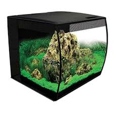 Salt Water Aquarium Set Up The Fluval 15 Gallon Flex Freshwater Kit Is One Of Very Few Freshwater Aquarium Kits To I In 2020 Goldfish Tank 15 Gallon Aquarium Fish Tank