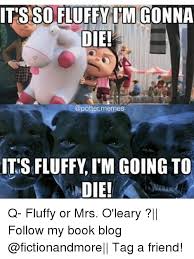 25 Best Memes About So Fluffy Im Gonna Die So Fluffy Im Gonna Die Memes