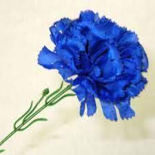 Blue Carnation Blue Wedding Bouquet Blue Carnations Wedding Bouquets