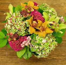 Flowers are one of the fascinating inventions of god. Exotic Flowers Flower Delivery Today In Boston Blog September