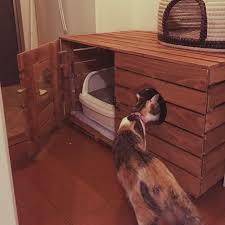 棚 猫トイレカバー diyのインテリア実例 2016 08 02 22 06 19 roomclip ルームクリップ 猫 トイレ 猫の家具 猫部屋