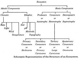 Image178 Png 462 344 Abiotic Ecosystems Biotic