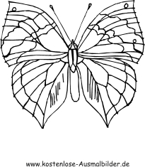 Ausmalbild Bunter Schmetterling In 2020 Ausmalen Ausmalbilder Tiere Ausmalbilder
