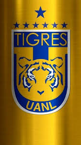Club tigres de la universidad autónoma de nuevo león mexico. 130 Ideas De Tigres Uanl Tigres Uanl Tigres Tigres Futbol