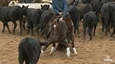 Clinton anderson's titan, ridden by andrea fappani, won the 2018 cactus reining classic open derby. Titan S 2018 Cactus Reining Classic Open Derby Run Youtube
