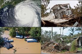 Here's how to get the money you deserve from your insurance company and ways to make the most of other assistance to fill in the gaps. Expected Costs Of Damage From Hurricane Winds And Storm Related Flooding Congressional Budget Office