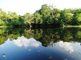 Inicia tu prueba de amazon prime gratis. Brasilien Amazonas Reisetipps Und Wie Es Wirklich Ist