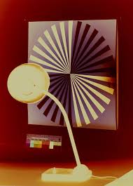 Bildergebnis für Dorit Margreiter