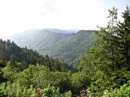 Highway 441 From Gatlinburg To Cherokee Review Of Newfound Gap Road Great Smoky Mountains National Park Tn Tripadvisor