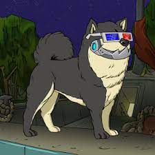 Bored Ape Kennel Club Marketplace On Opensea Buy Sell And Explore Digital Assets In 2021 Kennel Fictional Characters Apes