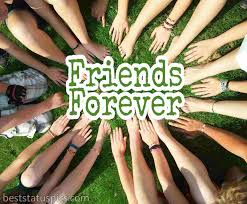 Best friend quotes for whatsapp dp. Friends Forever Whatsapp Dp Images Quotes Status Best Status Pics