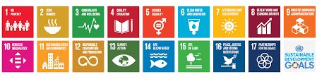 Since 2000, impressive advancements have been made on many health fronts. Geant And The Sustainable Development Goals Geant Impact