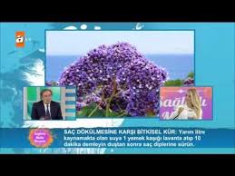 Sac Dokulmesine Karsi Bitkisel Kur Saglikli Mutlu Huzurlu 60 Bolum Atv Youtube Sac Mutlu Niluferler