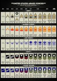 United States Armed Forces Enlisted Rank Insignia By Zapista Ou Armed Enlisted Forces Insignia In 2020 Military Ranks Military Insignia United States Armed Forces