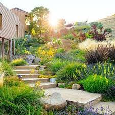 Answer And Solutions For Yard And Lawn Pest Low Water Landscaping Landscape Design Waterwise Garden