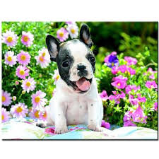 French bulldogs are some of the most popular small dogs in the united states. Animal French Bulldog Puppy Mexican Sombrero On Beach Hand Bath Shower Towels 30x56inch 75x140cm Buy At A Low Prices On Joom E Commerce Platform